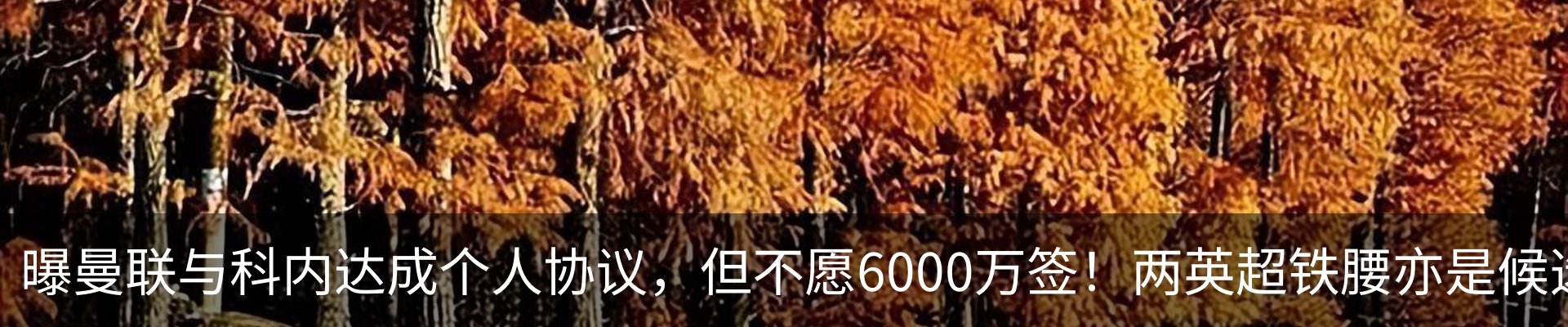 内页banner